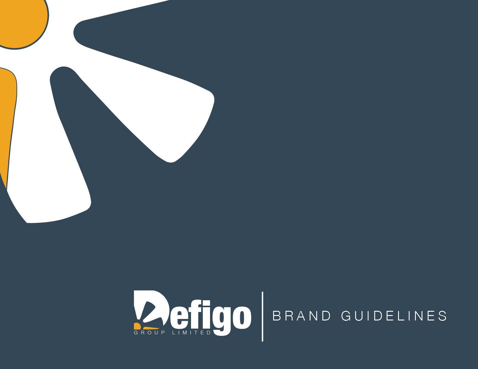 DEFIGO Brand Design